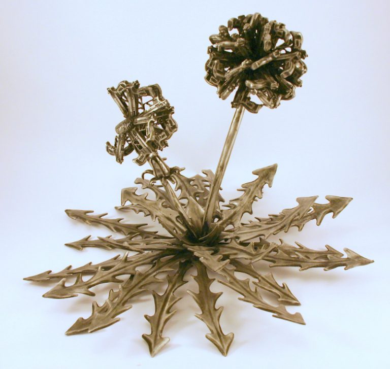 Taraxacum Tormentum 2014